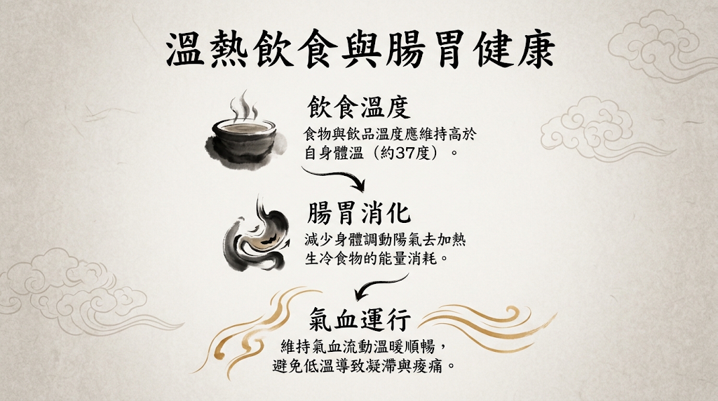 溫熱飲食對腸胃與氣血運行影響